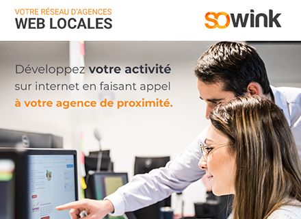 Réseaux d'agences web locales